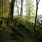 Umgeben von der Ruhe des Waldes öffnet sich der Blick aus den Baumhäusern über unseren Teich und die Sauna zum Welsh-Gestüt auf die Burg Breuberg