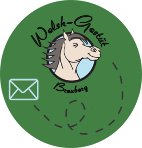 Welsh-Gestüt Breuberg Newsletter
