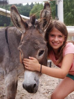 Freunde