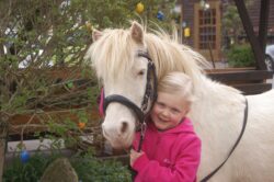 Mein Pony Prinz