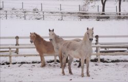 Winterzeit